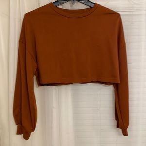 Brown cropped crew neck sweatshirt